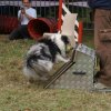 foire-haricots 2011-09-17et18